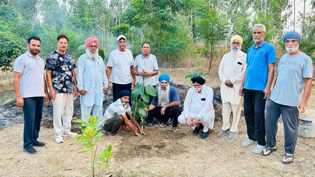 Heritage saplings planted in the Mini Ancestral Forest